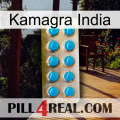 Kamagra India new09